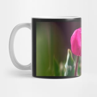 Tulip in a garden Mug